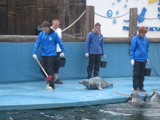 Grafika #33: 04.06.2013 - Wycieczka do Sea Parku w Sarbsku