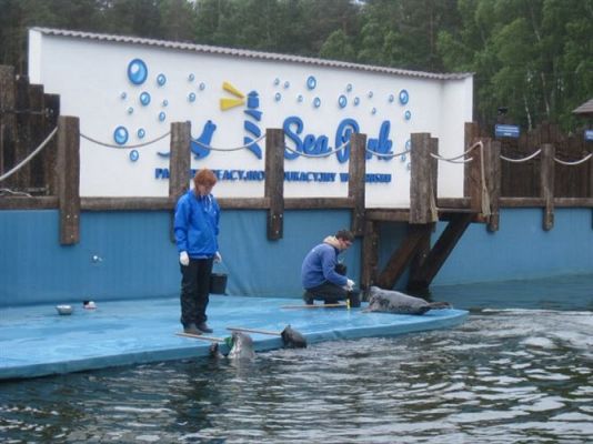 Grafika #35: 04.06.2013 - Wycieczka do Sea Parku w Sarbsku