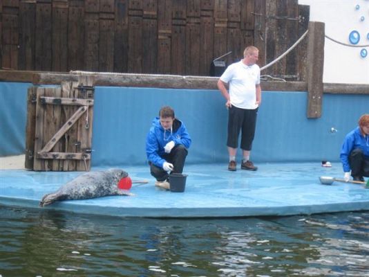 Grafika #36: 04.06.2013 - Wycieczka do Sea Parku w Sarbsku