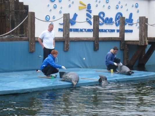 Grafika #37: 04.06.2013 - Wycieczka do Sea Parku w Sarbsku