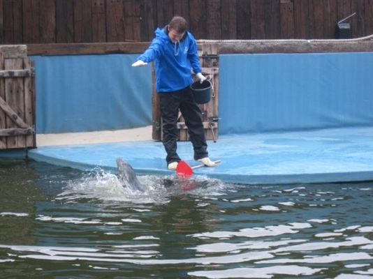 Grafika #38: 04.06.2013 - Wycieczka do Sea Parku w Sarbsku