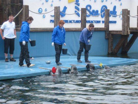 Grafika #39: 04.06.2013 - Wycieczka do Sea Parku w Sarbsku