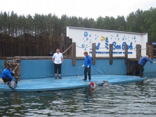 Grafika #40: 04.06.2013 - Wycieczka do Sea Parku w Sarbsku