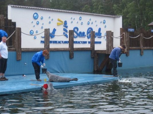 Grafika #41: 04.06.2013 - Wycieczka do Sea Parku w Sarbsku