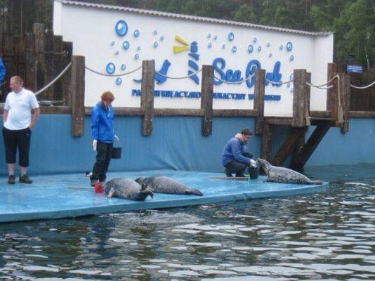 Grafika #42: 04.06.2013 - Wycieczka do Sea Parku w Sarbsku