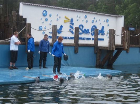 Grafika #44: 04.06.2013 - Wycieczka do Sea Parku w Sarbsku