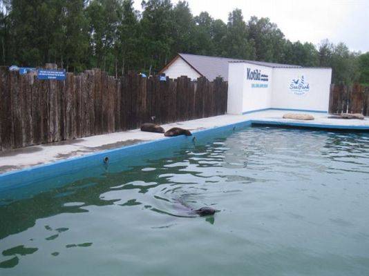 Grafika #57: 04.06.2013 - Wycieczka do Sea Parku w Sarbsku