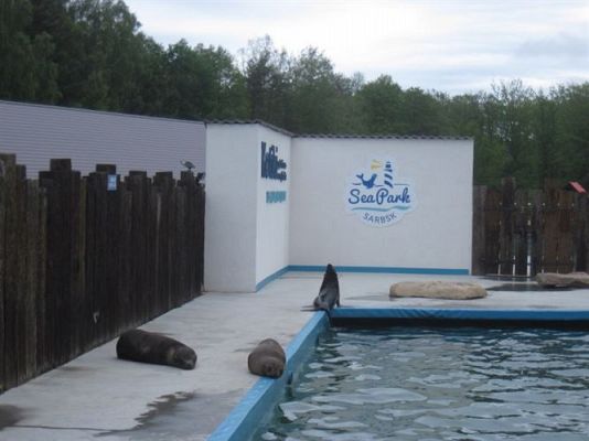 Grafika #61: 04.06.2013 - Wycieczka do Sea Parku w Sarbsku