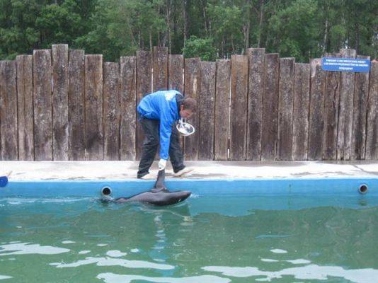 Grafika #65: 04.06.2013 - Wycieczka do Sea Parku w Sarbsku