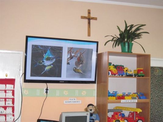 Grafika #10: 07.11.2013 - Spotkanie z p.Bogusławem Kotlarz - ornitologiem