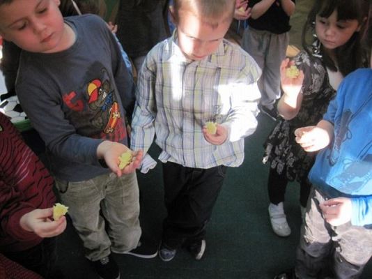 Grafika #35: 29.11.2013 - Andrzejki w gr.I i II