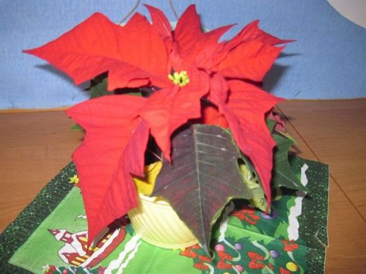 Grafika #11: Dekoracje świąteczne