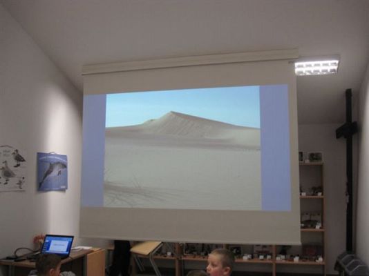 Grafika #12: 18.02.2014 - Warsztaty edukacyjne w Muzeum Przyrodniczym w Rąbce koło Łeby