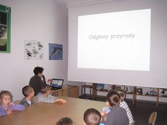 Grafika #13: 18.02.2014 - Warsztaty edukacyjne w Muzeum Przyrodniczym w Rąbce koło Łeby