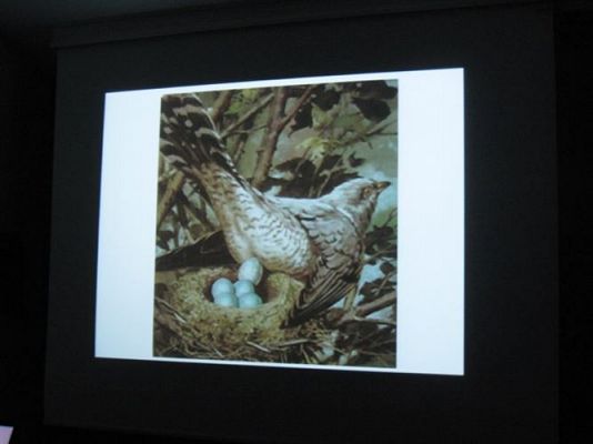 Grafika #19: 18.02.2014 - Warsztaty edukacyjne w Muzeum Przyrodniczym w Rąbce koło Łeby