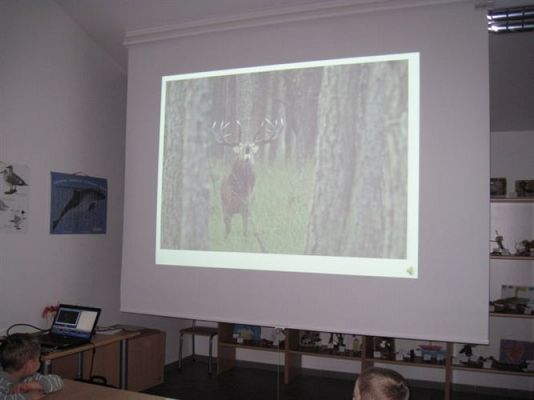 Grafika #20: 18.02.2014 - Warsztaty edukacyjne w Muzeum Przyrodniczym w Rąbce koło Łeby