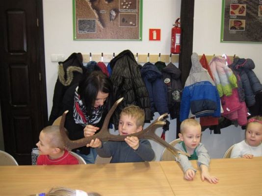 Grafika #24: 18.02.2014 - Warsztaty edukacyjne w Muzeum Przyrodniczym w Rąbce koło Łeby