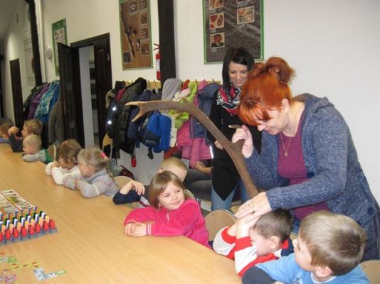 Grafika #26: 18.02.2014 - Warsztaty edukacyjne w Muzeum Przyrodniczym w Rąbce koło Łeby