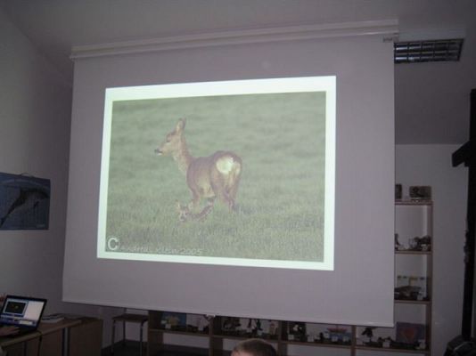 Grafika #27: 18.02.2014 - Warsztaty edukacyjne w Muzeum Przyrodniczym w Rąbce koło Łeby