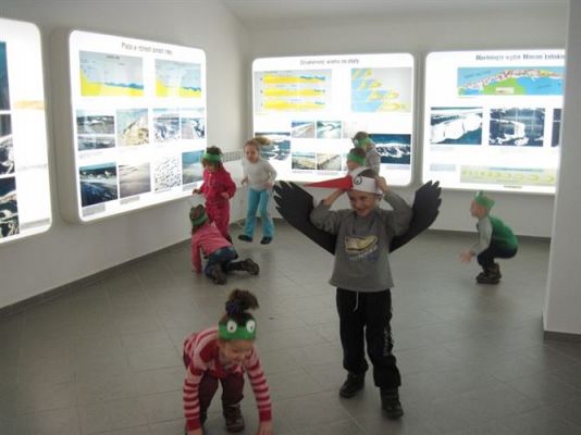 Grafika #40: 18.02.2014 - Warsztaty edukacyjne w Muzeum Przyrodniczym w Rąbce koło Łeby