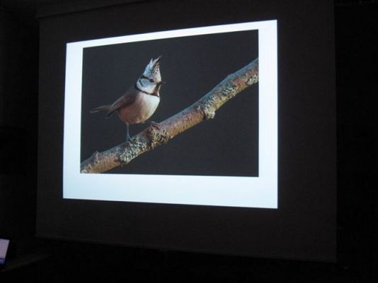 Grafika #7: 04.04.2014 - Warsztaty edukacyjne w Muzeum Przyrodniczym w Rąbce