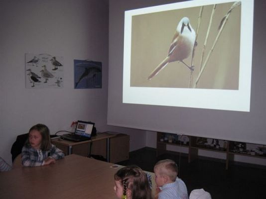 Grafika #9: 04.04.2014 - Warsztaty edukacyjne w Muzeum Przyrodniczym w Rąbce
