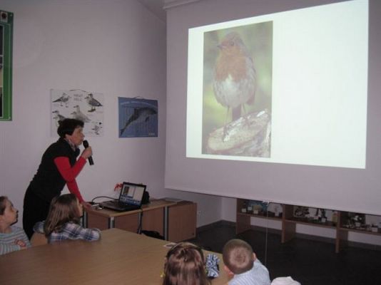 Grafika #10: 04.04.2014 - Warsztaty edukacyjne w Muzeum Przyrodniczym w Rąbce
