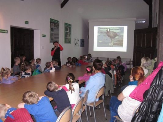 Grafika #14: 04.04.2014 - Warsztaty edukacyjne w Muzeum Przyrodniczym w Rąbce