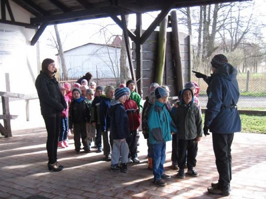Grafika #16: 04.04.2014 - Warsztaty edukacyjne w Muzeum Przyrodniczym w Rąbce