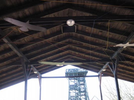 Grafika #25: 04.04.2014 - Warsztaty edukacyjne w Muzeum Przyrodniczym w Rąbce