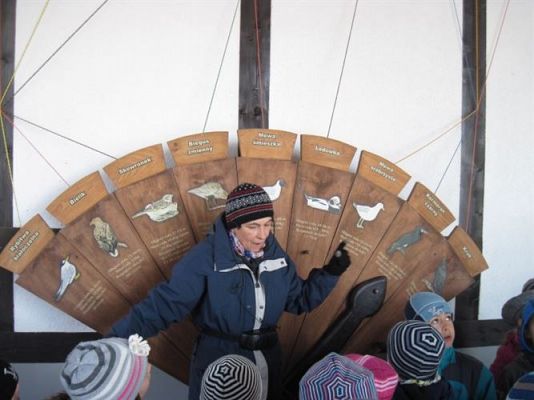 Grafika #26: 04.04.2014 - Warsztaty edukacyjne w Muzeum Przyrodniczym w Rąbce