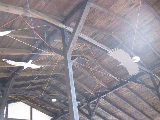 Grafika #29: 04.04.2014 - Warsztaty edukacyjne w Muzeum Przyrodniczym w Rąbce