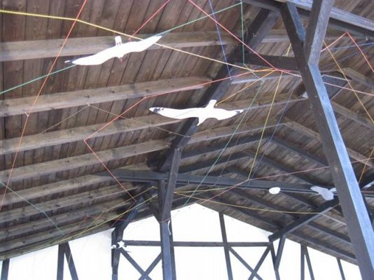 Grafika #30: 04.04.2014 - Warsztaty edukacyjne w Muzeum Przyrodniczym w Rąbce