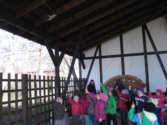 Grafika #31: 04.04.2014 - Warsztaty edukacyjne w Muzeum Przyrodniczym w Rąbce