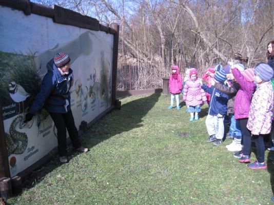 Grafika #32: 04.04.2014 - Warsztaty edukacyjne w Muzeum Przyrodniczym w Rąbce