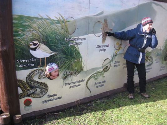 Grafika #33: 04.04.2014 - Warsztaty edukacyjne w Muzeum Przyrodniczym w Rąbce