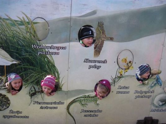 Grafika #34: 04.04.2014 - Warsztaty edukacyjne w Muzeum Przyrodniczym w Rąbce