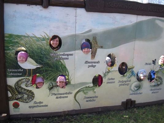 Grafika #39: 04.04.2014 - Warsztaty edukacyjne w Muzeum Przyrodniczym w Rąbce