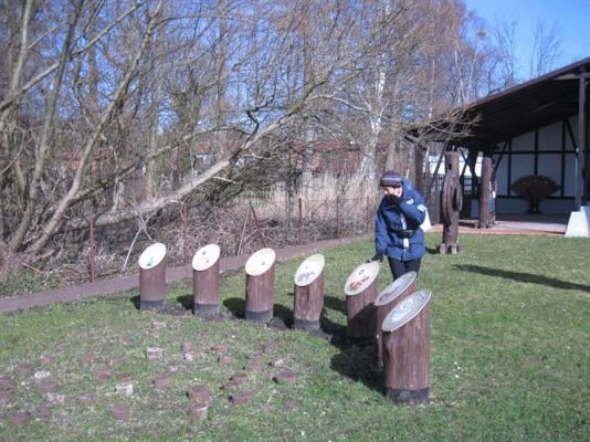 Grafika #41: 04.04.2014 - Warsztaty edukacyjne w Muzeum Przyrodniczym w Rąbce