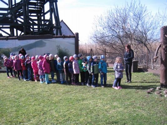 Grafika #42: 04.04.2014 - Warsztaty edukacyjne w Muzeum Przyrodniczym w Rąbce