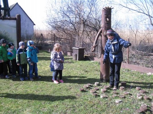 Grafika #43: 04.04.2014 - Warsztaty edukacyjne w Muzeum Przyrodniczym w Rąbce