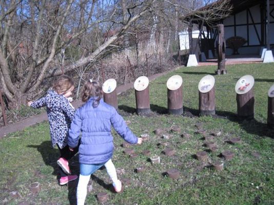 Grafika #45: 04.04.2014 - Warsztaty edukacyjne w Muzeum Przyrodniczym w Rąbce