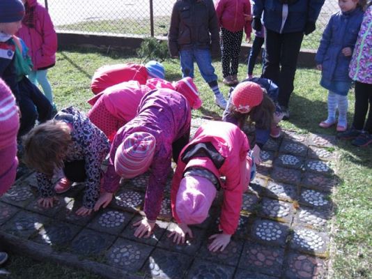 Grafika #57: 04.04.2014 - Warsztaty edukacyjne w Muzeum Przyrodniczym w Rąbce