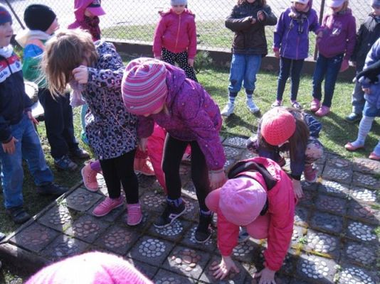 Grafika #58: 04.04.2014 - Warsztaty edukacyjne w Muzeum Przyrodniczym w Rąbce