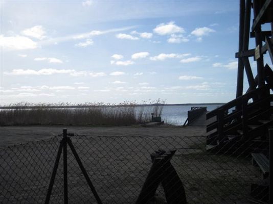 Grafika #71: 04.04.2014 - Warsztaty edukacyjne w Muzeum Przyrodniczym w Rąbce