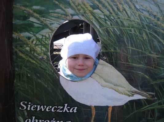 Grafika #76: 04.04.2014 - Warsztaty edukacyjne w Muzeum Przyrodniczym w Rąbce