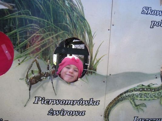 Grafika #77: 04.04.2014 - Warsztaty edukacyjne w Muzeum Przyrodniczym w Rąbce