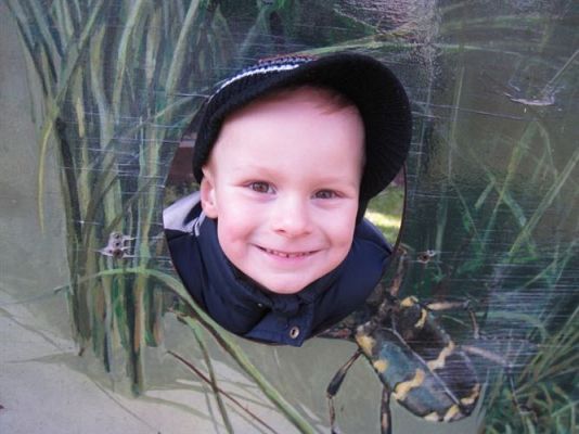 Grafika #79: 04.04.2014 - Warsztaty edukacyjne w Muzeum Przyrodniczym w Rąbce