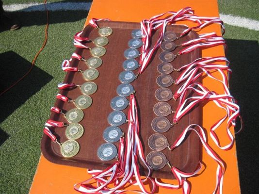 Grafika #34: 23.05.2014 - Akcja "Polska Biega"