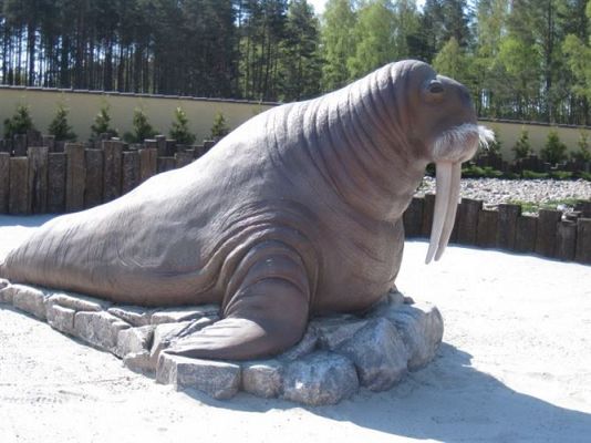 Grafika #2: 24.04.2014 - Wycieczka do Sea Parku w Sarbsku